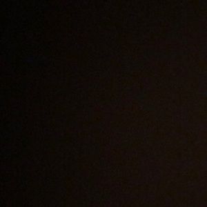 Meet your Posher, Sammy